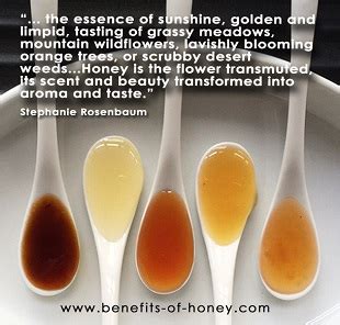 Tasting Honey: From Floral Notes to Rich Varietal Flavors