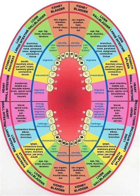 Teeth: Symbolism and Significance