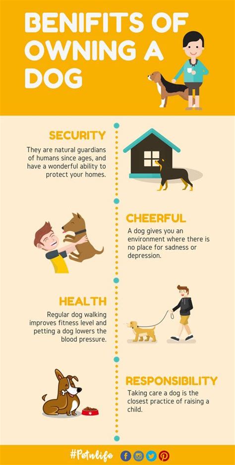 The Advantages and Gratifications of Dog Ownership