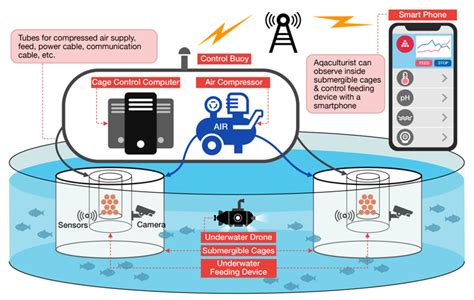 The Advantages of Envisioning Aqua Transportation