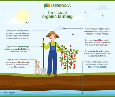 The Advantages of Organic Techniques for Cleansing Produce