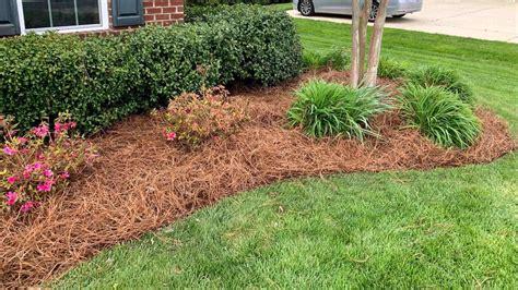 The Advantages of Utilizing Pine Straw for Enhancing the Landscape