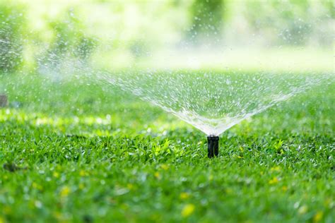 The Advantages of an Irrigation System for Your Yard