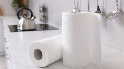 The Allure of Devouring Paper Towels: Decrypting the Concealed Longings