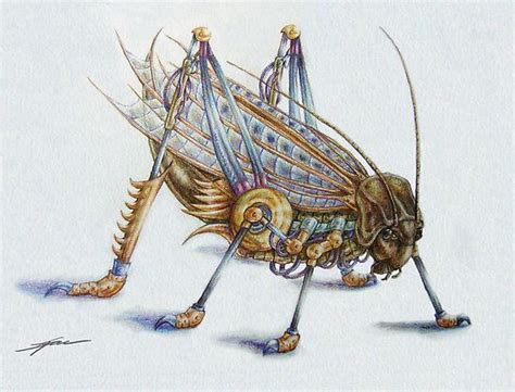 The Ancient Importance of Grasshoppers in Mythology