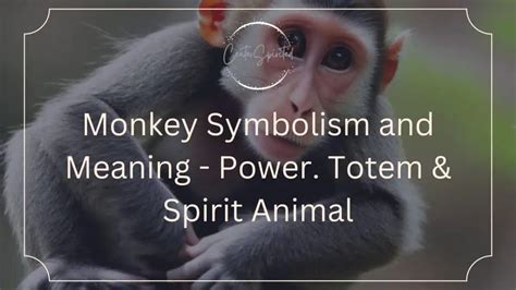 The Ancient Intrigue of Monkey Symbolism in Dreams