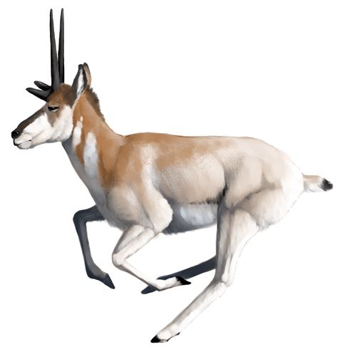 The Ancient Rituals and Significance of Pronghorn Pursuit in Dreamscapes