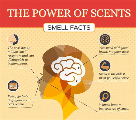 The Aroma of Comfort: Exploring the Emotional Impact of Familiar Scents in Your Former Sanctum