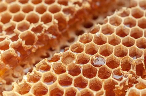 The Astonishing Beauty of Honeycomb Structure