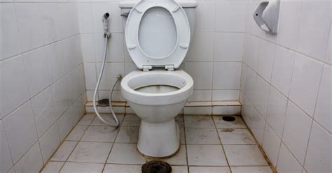 The Astonishing Truth about Utilizing an Unhygienic Lavatory