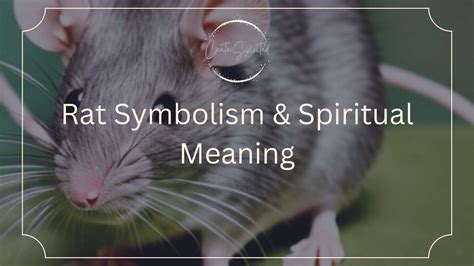 The Astonishing Variety of Rat Symbolism