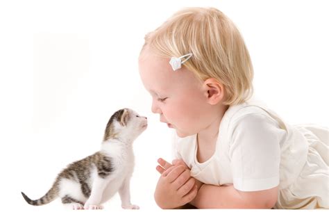 The Beautiful Connection: How Bringing Home a Kitten Can Fulfill Our Deepest Desires