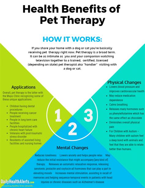 The Benefits of Canine Therapy: Healing through Affection and Playfulness