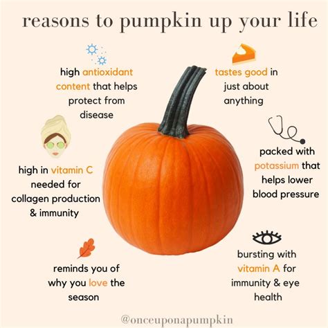 The Benefits of Engaging in Pumpkin Harvesting Dreams