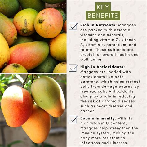 The Benefits of Incorporating Golden Mangoes into Your Diet