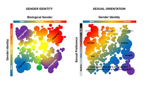 The Biological Factors: Understanding the Science behind Predetermining Gender