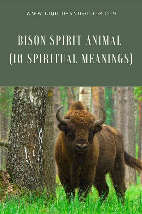 The Black Bison as a Spiritual Guide in Shamanistic Practices