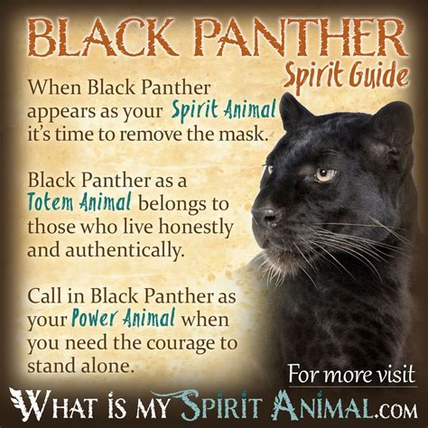 The Black Panther as a Spirit Animal: Empowering Messages from the Dream Realm