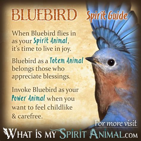 The Bluebird as a Symbol of Hope and Freedom