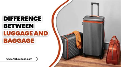 The Burden of Possessions: Unveiling the Reflective Nature of Excessive Baggage