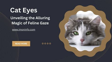 The Cat's Eye: Unveiling the Power of Gaze