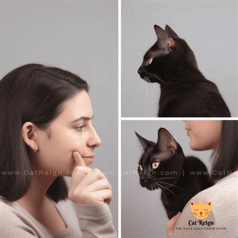 The Challenged Feline: Decoding the Various Situations and their Concealed Messages