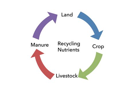 The Challenges and Benefits of Managing Animal Waste