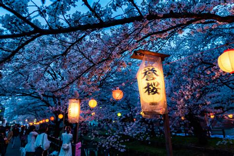 The Cherry Tree Festival: A Celebration of Nature's Splendor