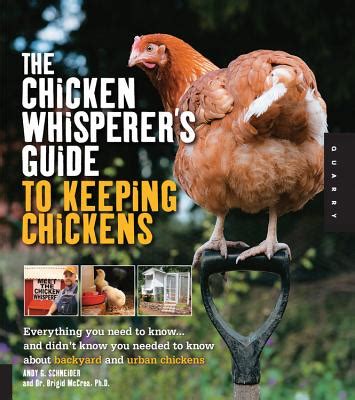 The Chicken Whisperer: Insights from Experts in Poultry Psychology