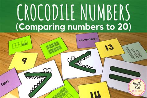 The Combination of Crocodiles and Numbers: A Deeper Analysis