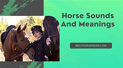 The Communication System of Horses: Decoding Equine Language