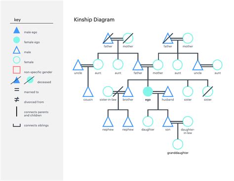 The Complex Network of Kinship Connections