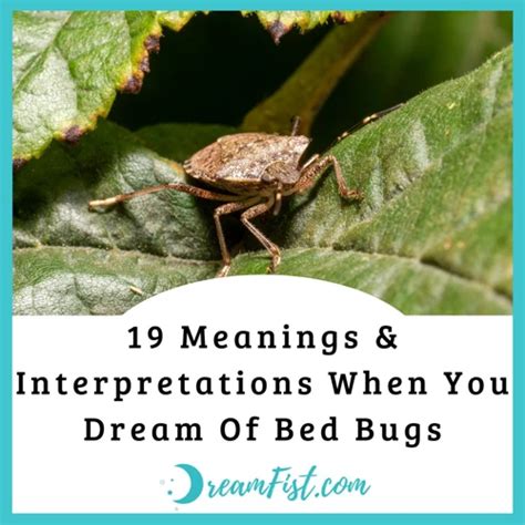 The Complex Symbolism of Regurgitating Insects in One's Dreams