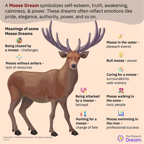 The Connection Between Moose Dreams and the Importance of Flexibility in Life