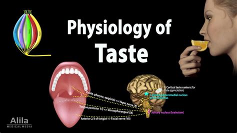 The Connection Between Tongue Sensation and Emotional State in Dreamland