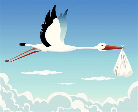 The Connection between Stork Bird and Motherhood