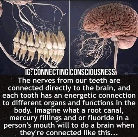 The Connection between Teeth and Personal Power