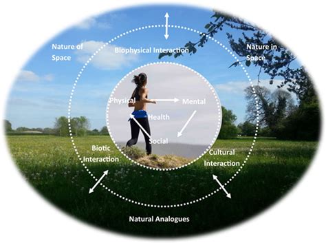 The Connection to Nature: Exploring the Relationship between Encounters with Bucks and Our Natural Surroundings