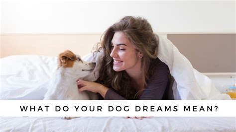 The Correlation Between Canine Dreaming and Real-life Experiences