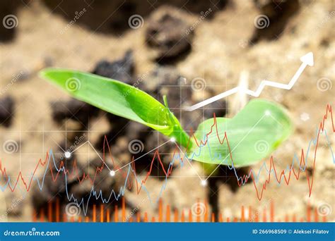 The Correlation Between Corn Plant Dreams and Financial Success