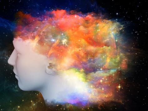 The Correlation Between Dreams and Brain Activity