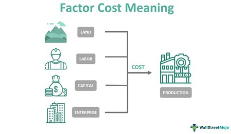 The Cost Factor: Factors to Consider Before Purchasing a Personalized License Plate