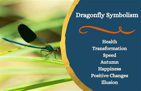 The Cultural Significance of Dragonflies