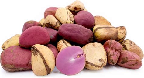 The Cultural Significance of Kola Nut