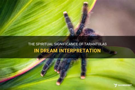 The Cultural Significance of Tarantulas in Dream Interpretation