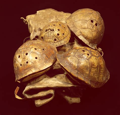 The Cultural and Spiritual Significance of Emptied Tortoise Shells in Native Communities