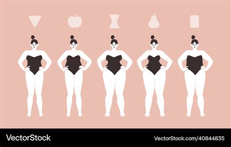 The Curves and Body Shape of the Remarkable Individual