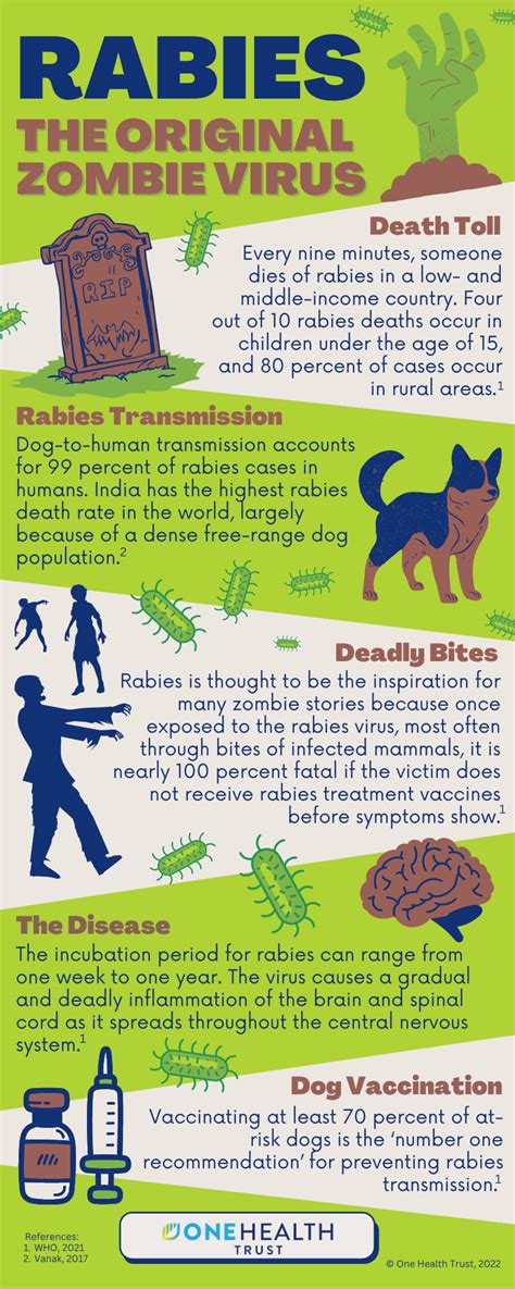 The Deadly Virus: Understanding Rabies