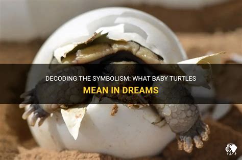 The Deeper Significance: Decoding Turtle Dreams in Pregnancy