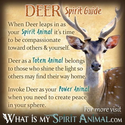 The Deer as a Symbol of Spiritualty and Connection with Nature